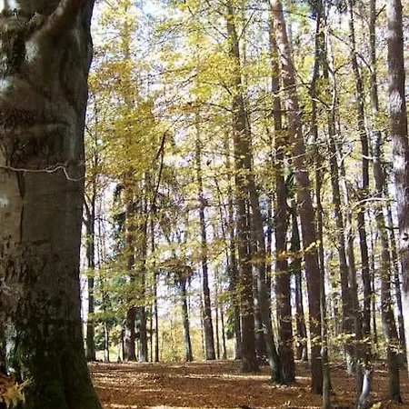 Stilvolles Im Dreilaendereck