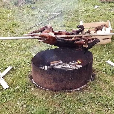 Stilvolles Im Dreilaendereck Felsoszolnok
