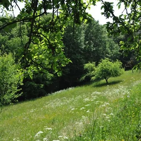 Stilvolles Im Dreilaendereck
