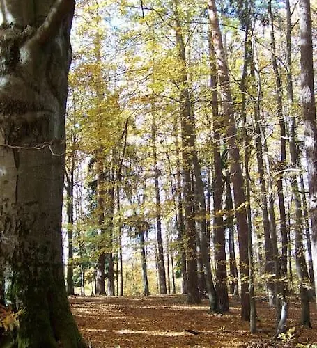 Stilvolles Im Dreilaendereck